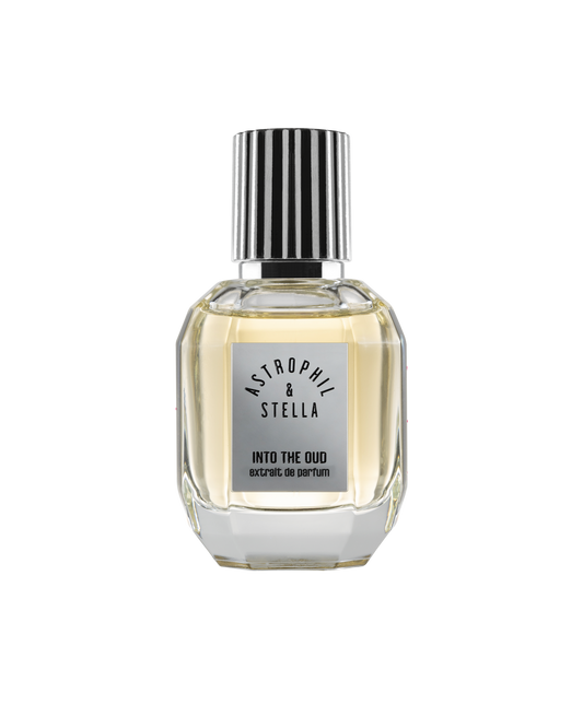 Into the Oud